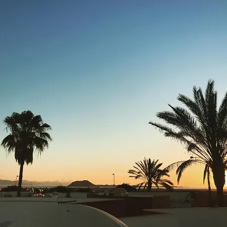 فيلة Nella